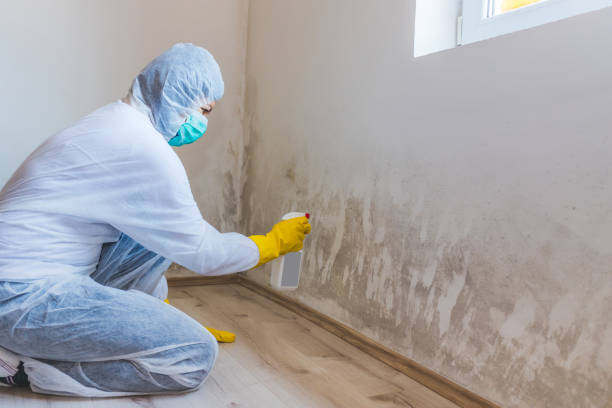 Professional Mold Removal in Shelby, NC