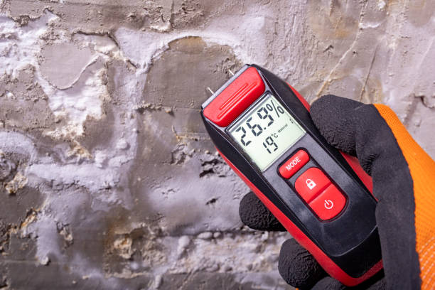 Best Mold Remediation  in Shelby, NC