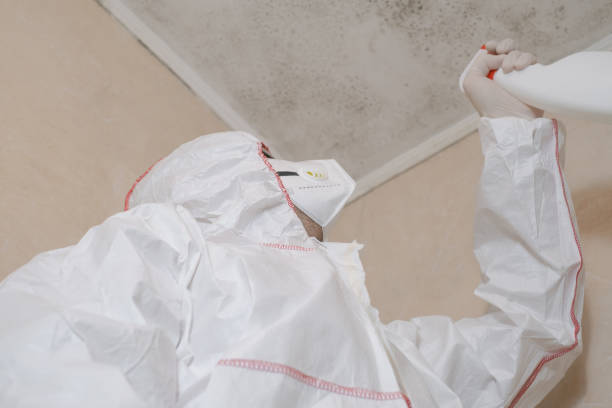 Best Residential Mold Removal  in Shelby, NC